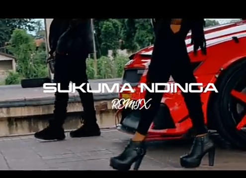 Rosa Ree – Sukuma Ndinga (Remix) Ft. Rayvanny mp3 download