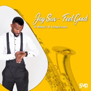 Jay Sax – Feel Good Ft. Bakk3, Llogicsoul mp3 download