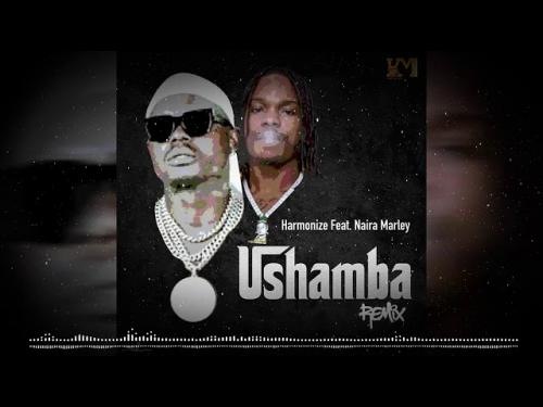 Harmonize Ft. Naira Marley – Ushamba (Remix) mp3 download