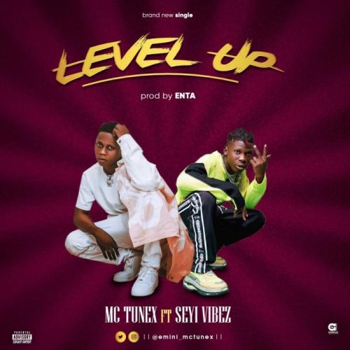 Mc Tunex Ft. Seyi Vibes – Level Up mp3 download