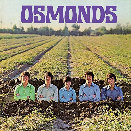 The Osmonds - One Bad Apple mp3 download