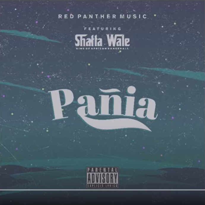 Shatta Wale – Panai mp3 download