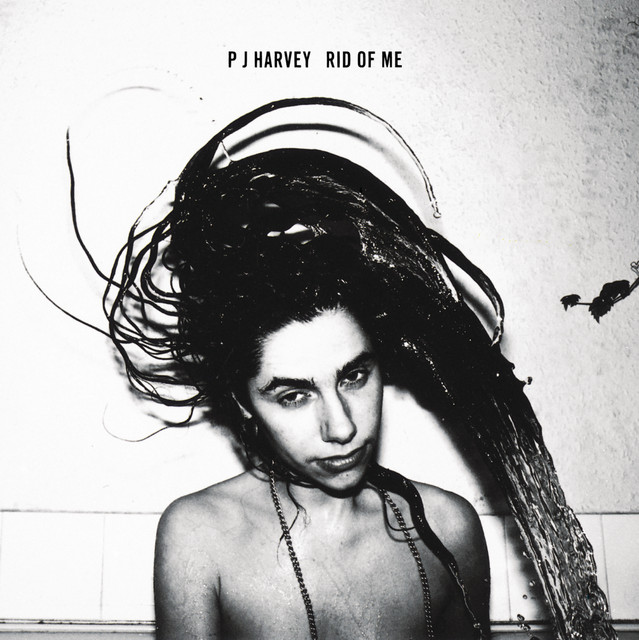 PJ Harvey - Rid of Me mp3 download