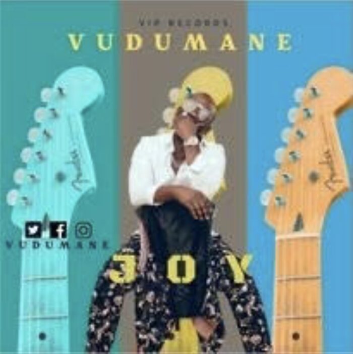 Vudumane – Joy mp3 download