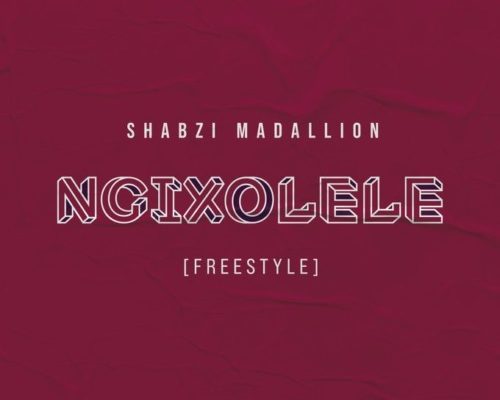 Busta 929 – Ngixolele Ft. Boohle (ShabZi Madallion Remix) mp3 download