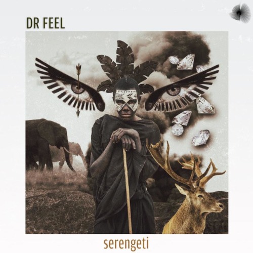 Dr Feel - Wallow Ft. Zhane mp3 download